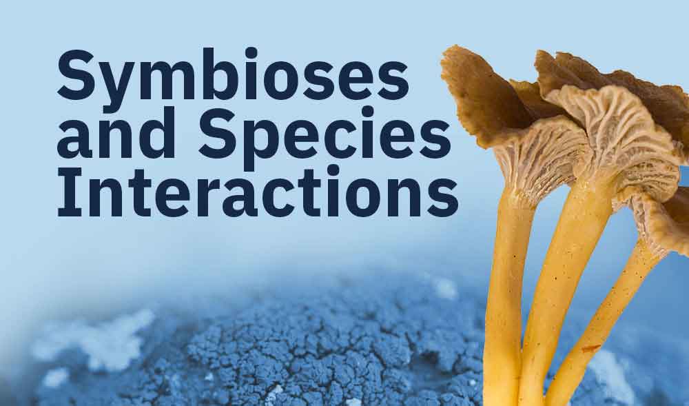 Symbioses and Species Interactions graphic image