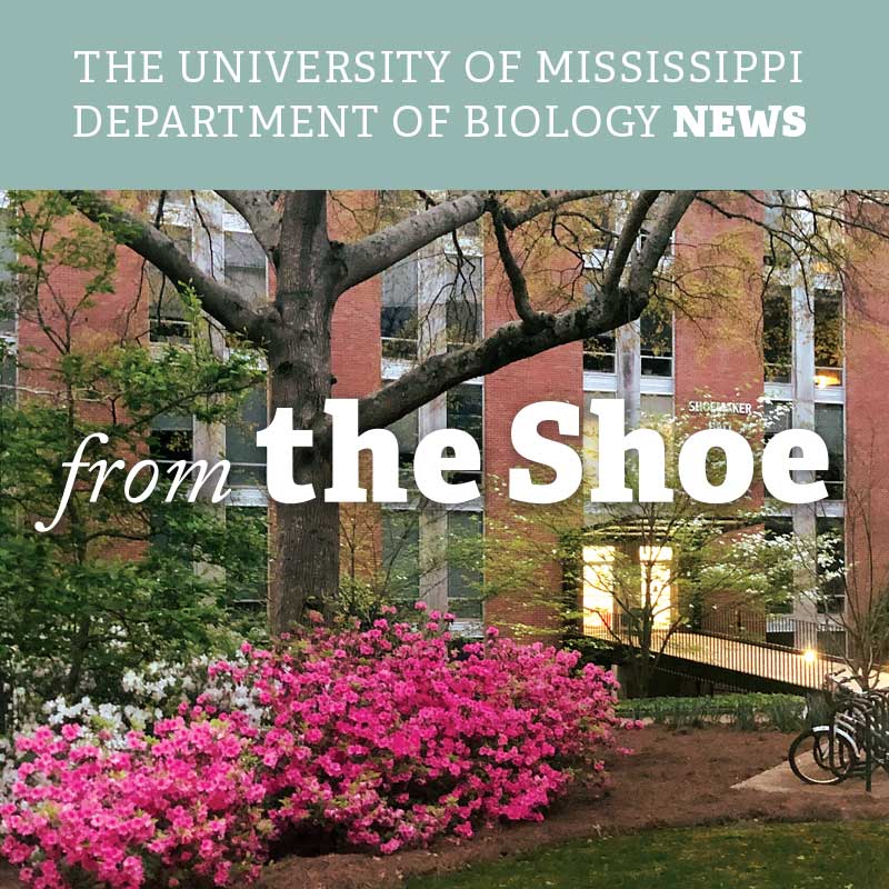 The Shoe - 2020 News - The Biology Department of the University of Mississippi