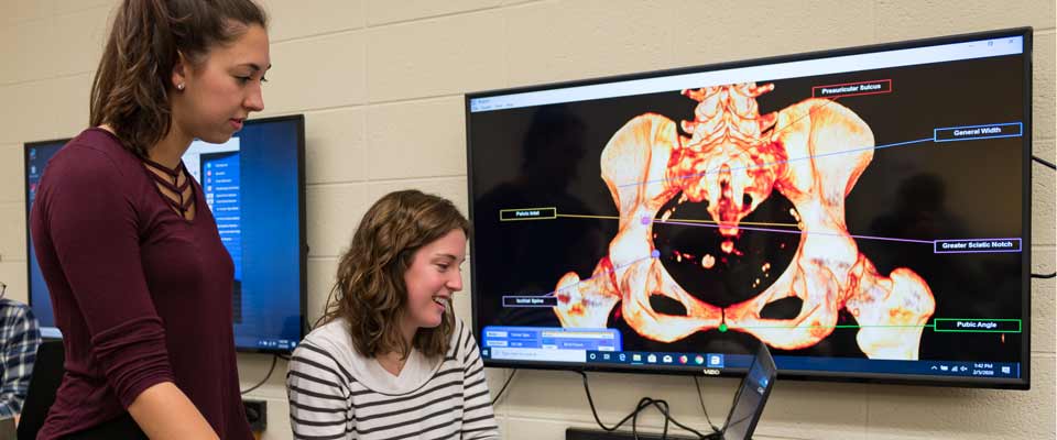 Human Anatomy classroom featuring technology