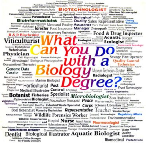 biology poster of different career paths with biology