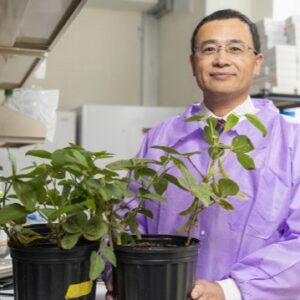 Dr. Sixue Chen